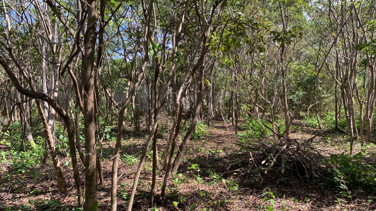 0 bed Land For Sale in Avellanas, Guanacaste - thumb 5