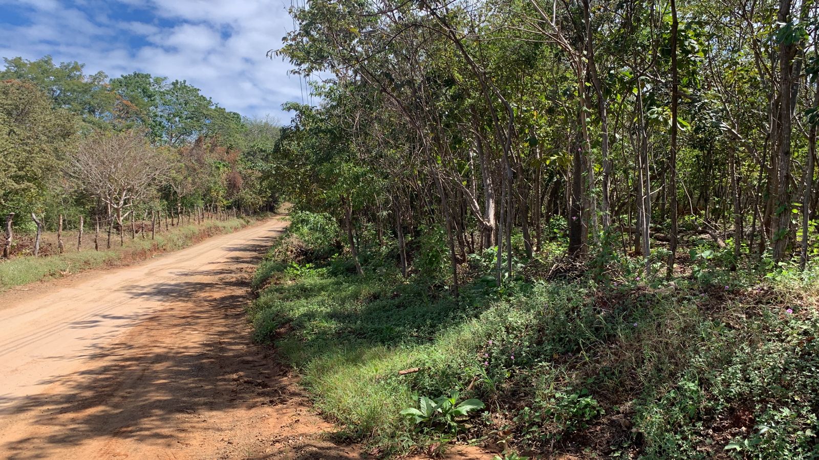 0 bed Land For Sale in Avellanas, Guanacaste - thumb 1