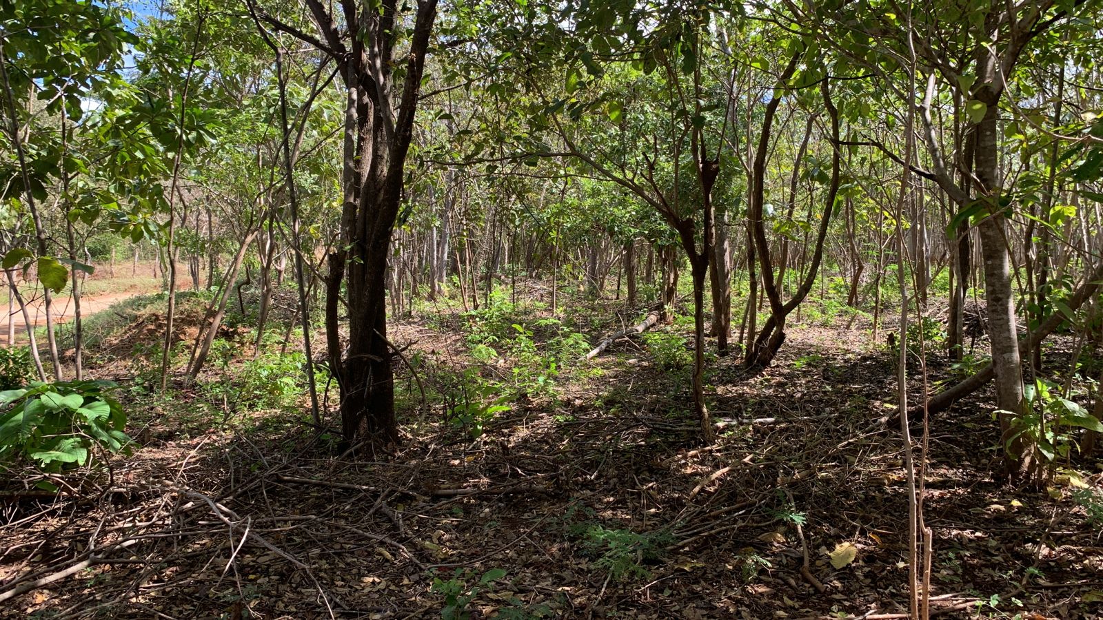 0 bed Land For Sale in Avellanas, Guanacaste - thumb 11