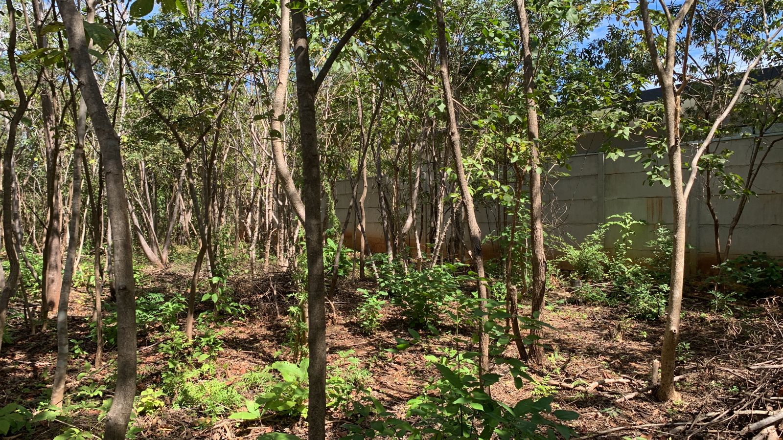 0 bed Land For Sale in Avellanas, Guanacaste - thumb 4