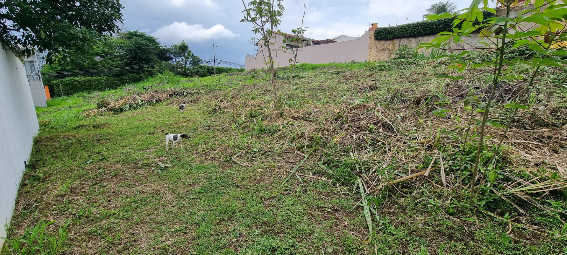 0 bed Land For Sale in Curridabat, San Jose - thumb 2