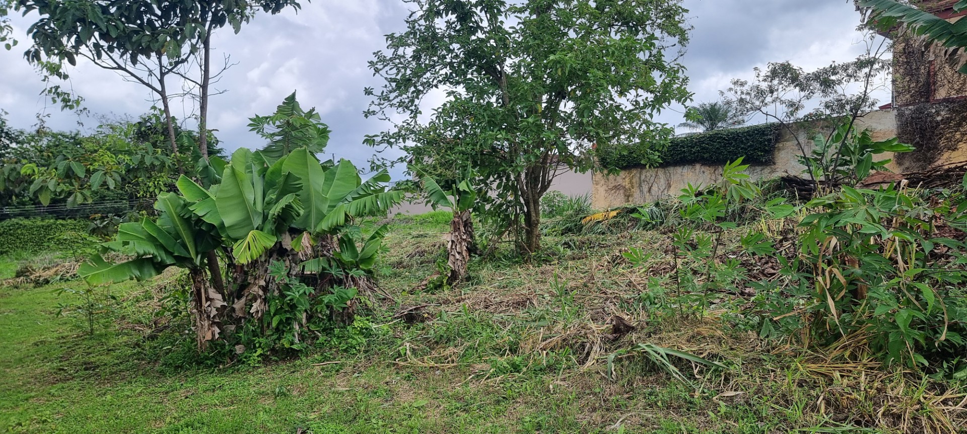 0 bed Land For Sale in Curridabat, San Jose - thumb 5