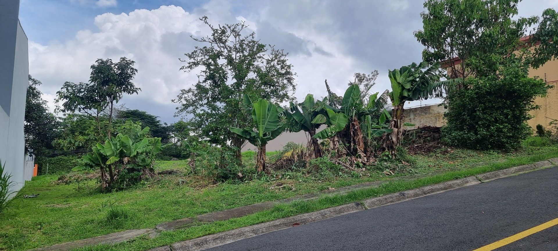 0 bed Land For Sale in Curridabat, San Jose - thumb 3