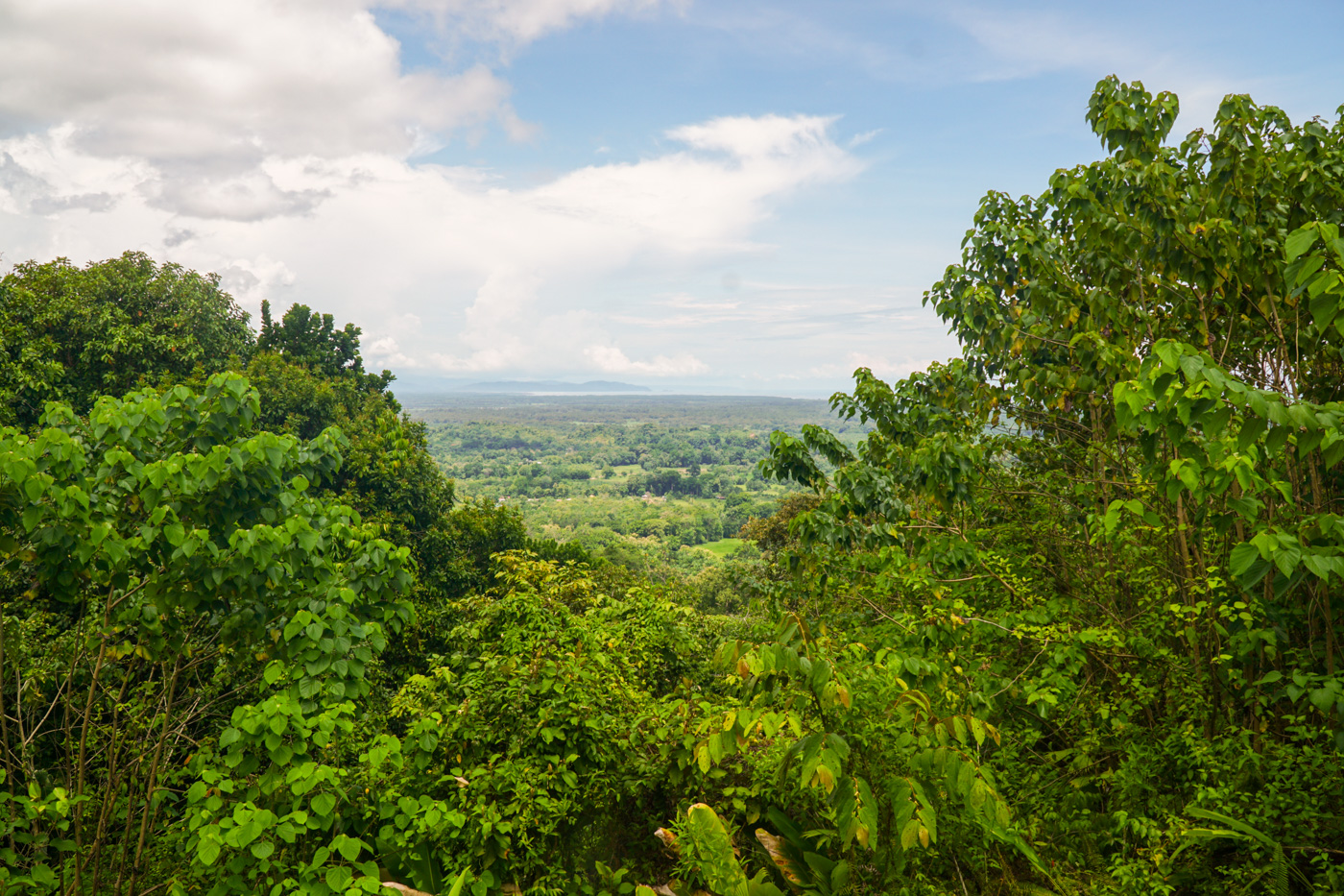 0 bed Land For Sale in Ojochal, Puntarenas - thumb 11