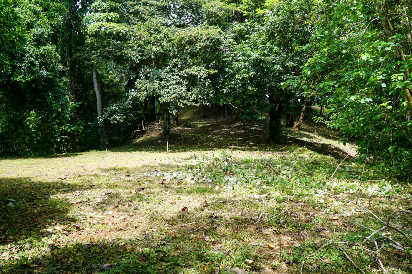 0 bed Land For Sale in Ojochal, Puntarenas - thumb 23