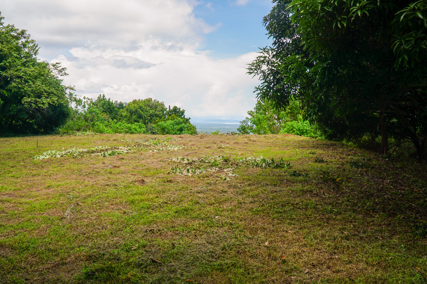 0 bed Land For Sale in Ojochal, Puntarenas - thumb 16