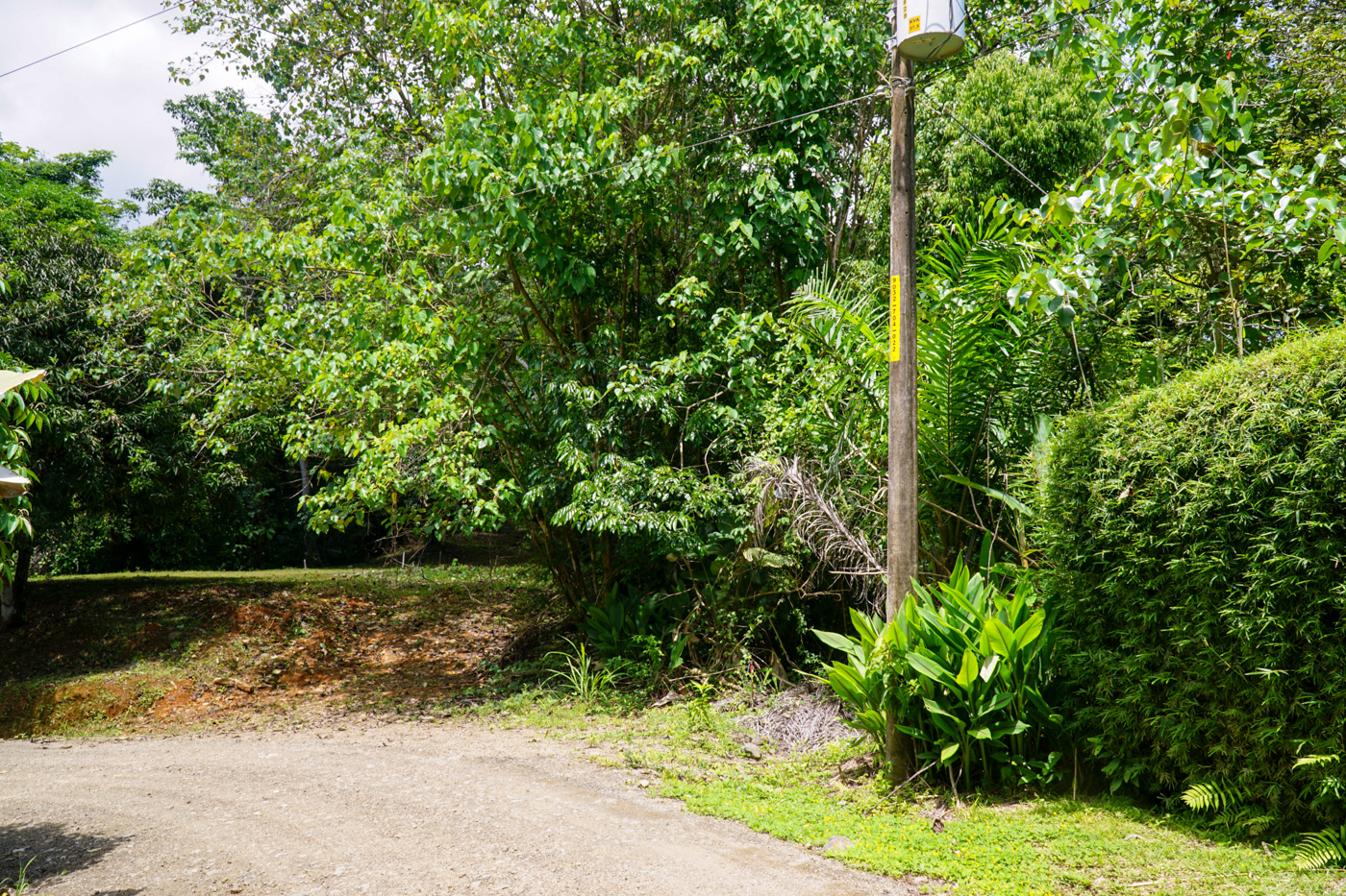 0 bed Land For Sale in Ojochal, Puntarenas - thumb 24