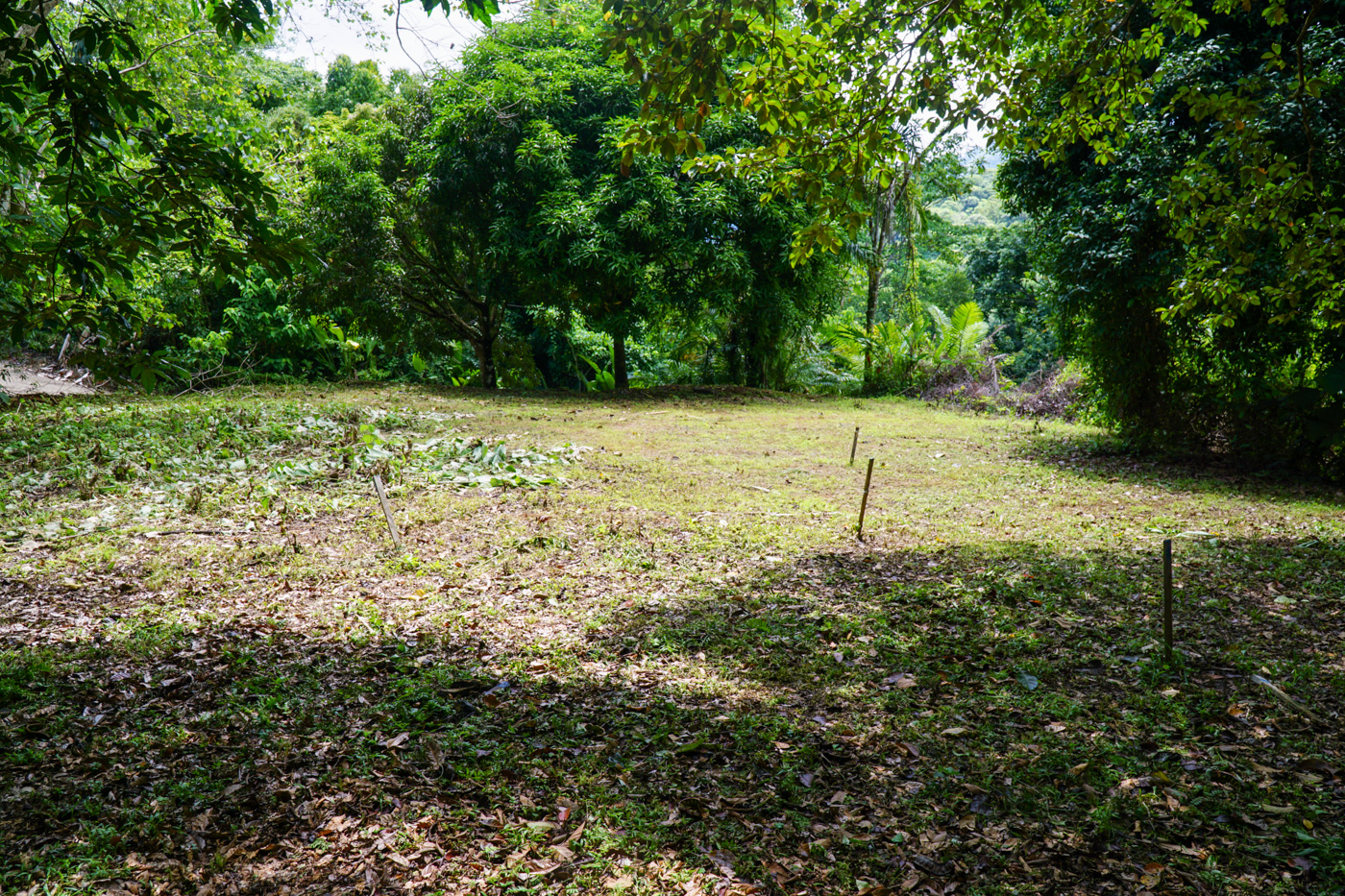 0 bed Land For Sale in Ojochal, Puntarenas - thumb 21