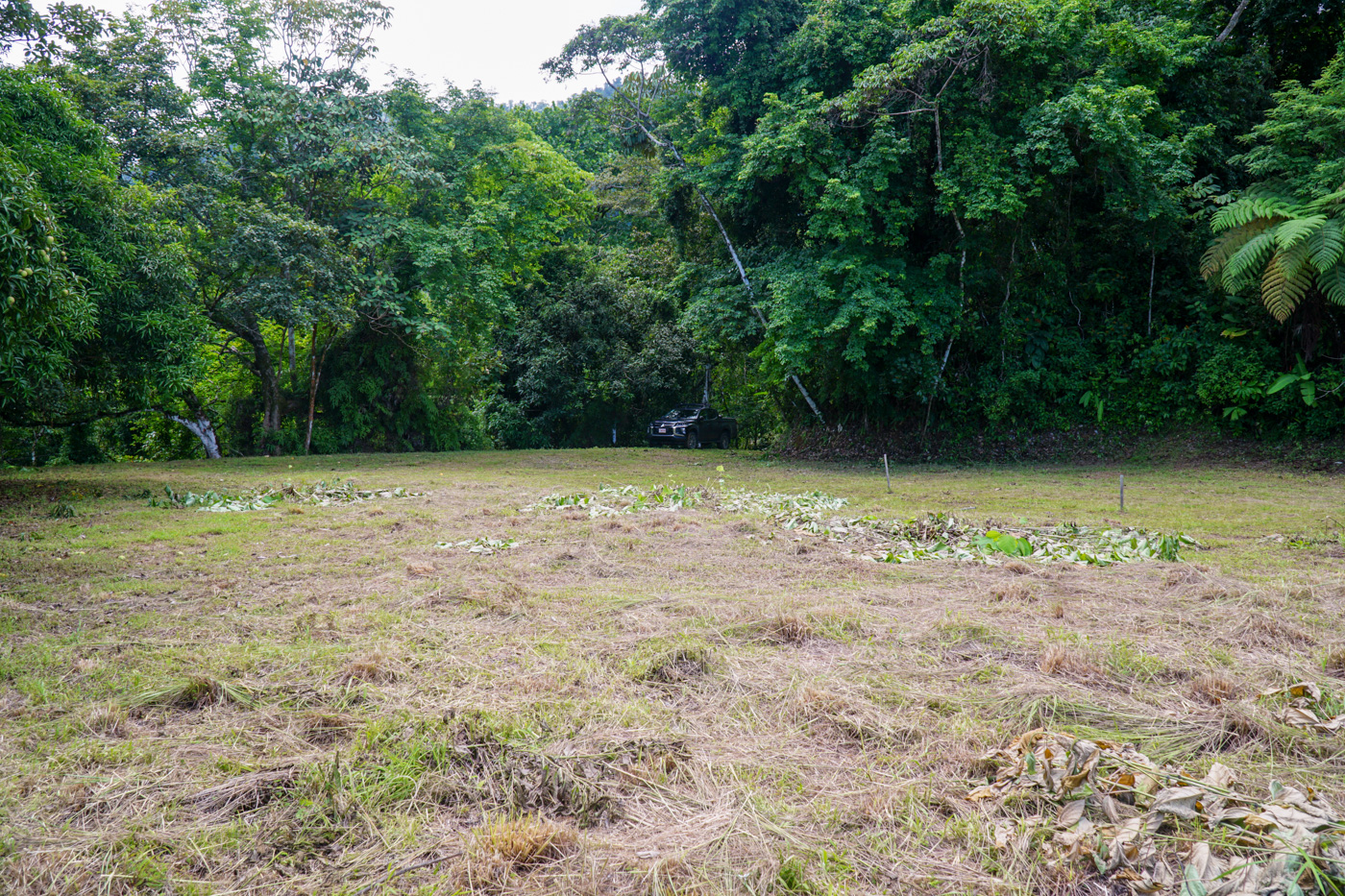 0 bed Land For Sale in Ojochal, Puntarenas - thumb 12