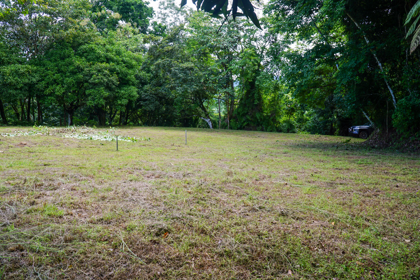 0 bed Land For Sale in Ojochal, Puntarenas - thumb 13