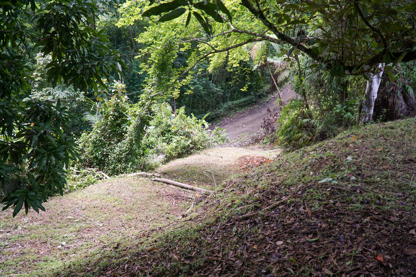 0 bed Land For Sale in Ojochal, Puntarenas - thumb 15