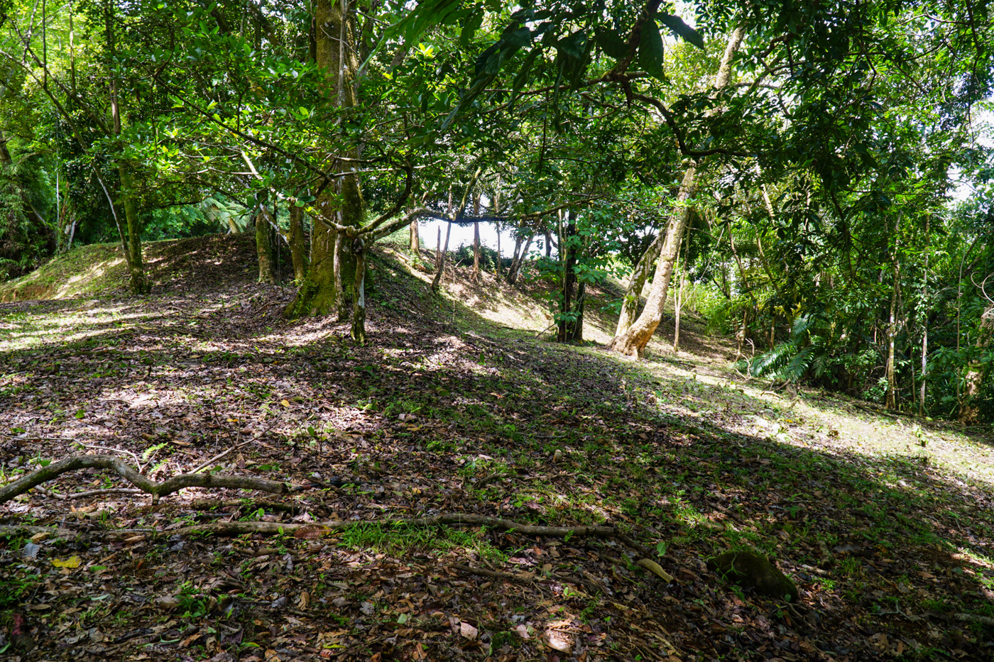 0 bed Land For Sale in Ojochal, Puntarenas - thumb 22
