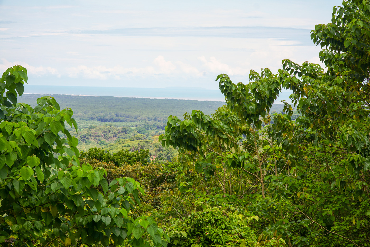 0 bed Land For Sale in Ojochal, Puntarenas - thumb 10