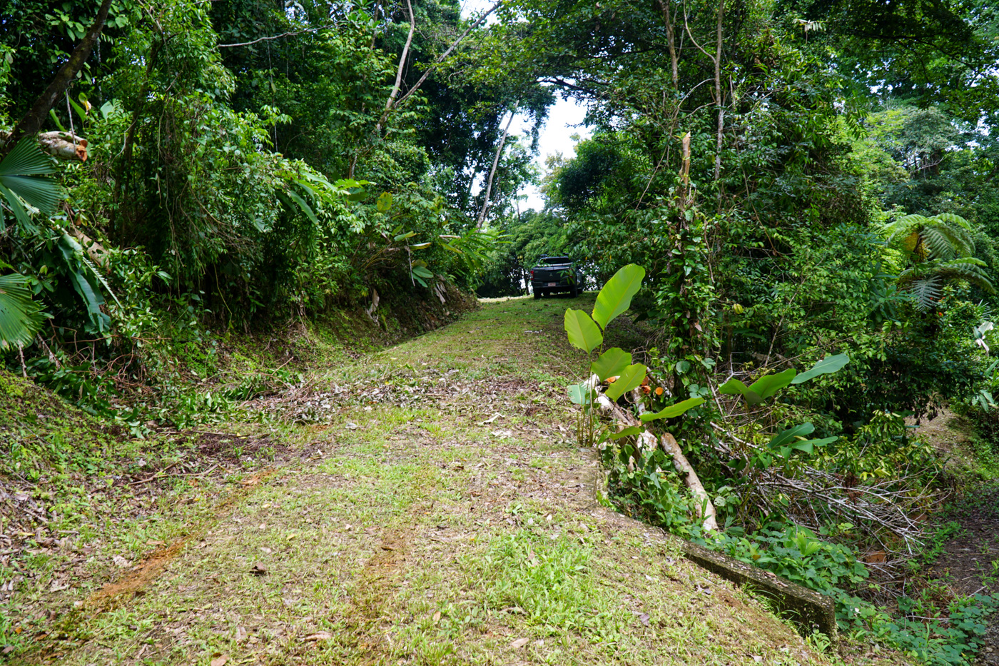 0 bed Land For Sale in Ojochal, Puntarenas - thumb 18