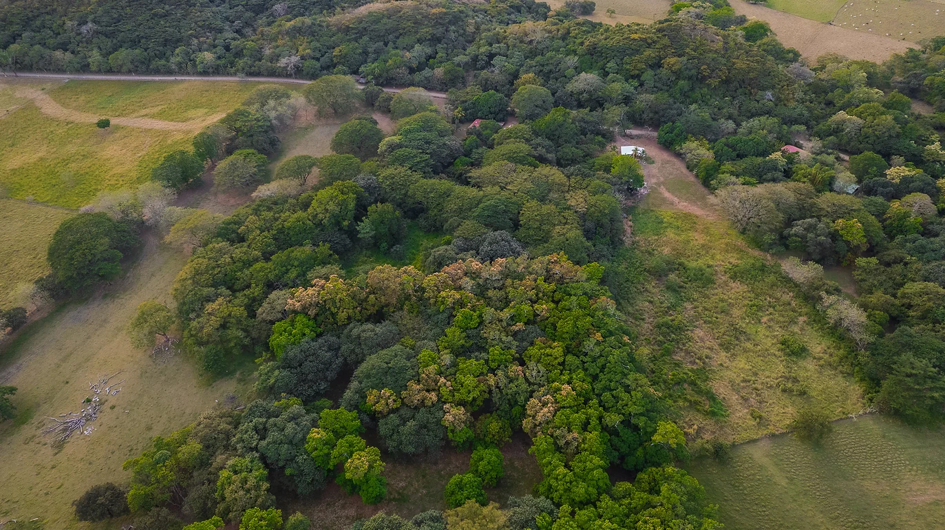 0 bed Land For Sale in Sardinal, Guanacaste - thumb 2