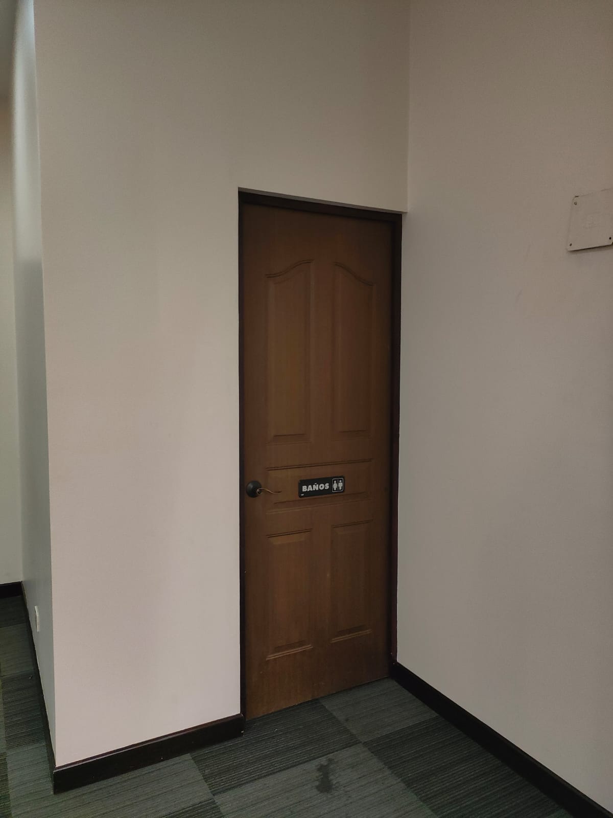 1 bed Commercial For Rent in La Sabana, San Jose - thumb 3