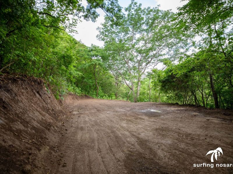 0 bed Land For Sale in Nosara, Guanacaste - 1