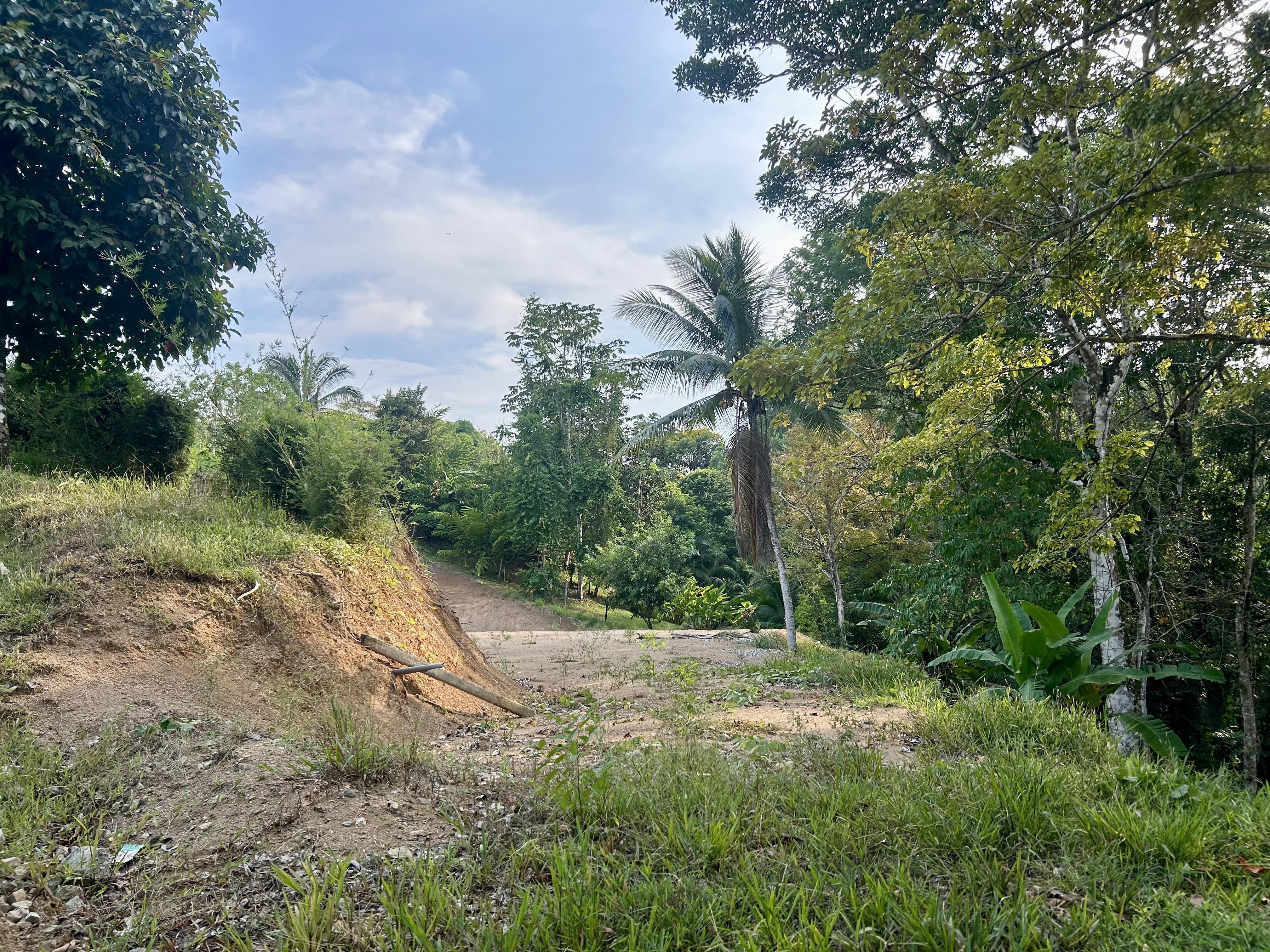 3 bed Single Family Homes For Sale in Uvita, Puntarenas - thumb 9