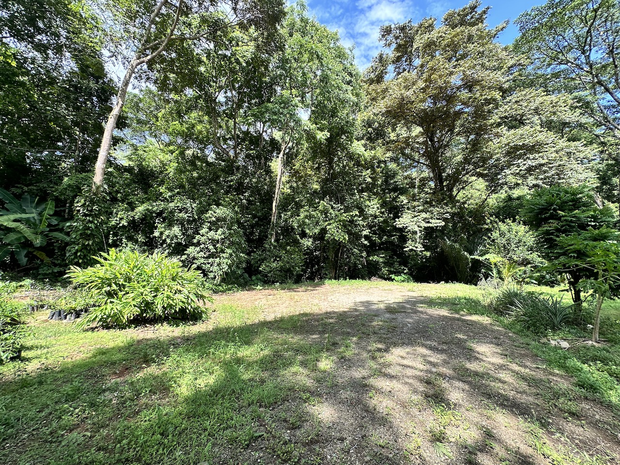 0 bed Commercial For Sale in Ojochal, Puntarenas - thumb 23