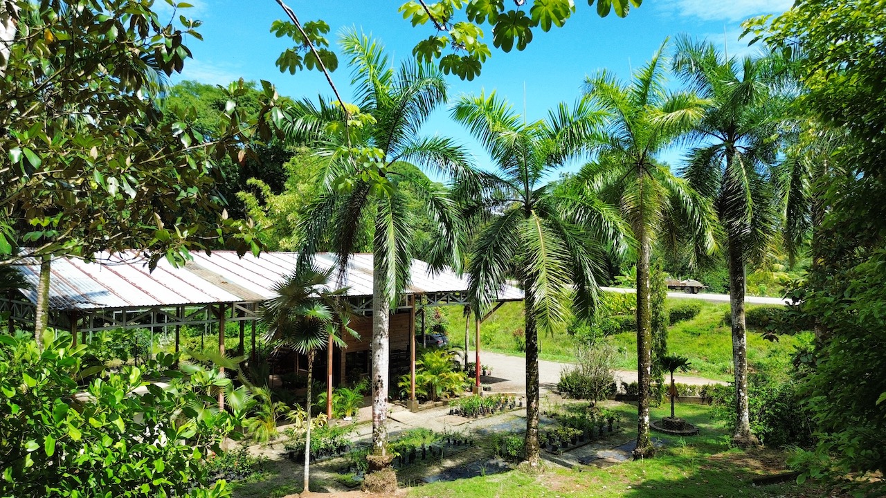 0 bed Commercial For Sale in Ojochal, Puntarenas - thumb 16