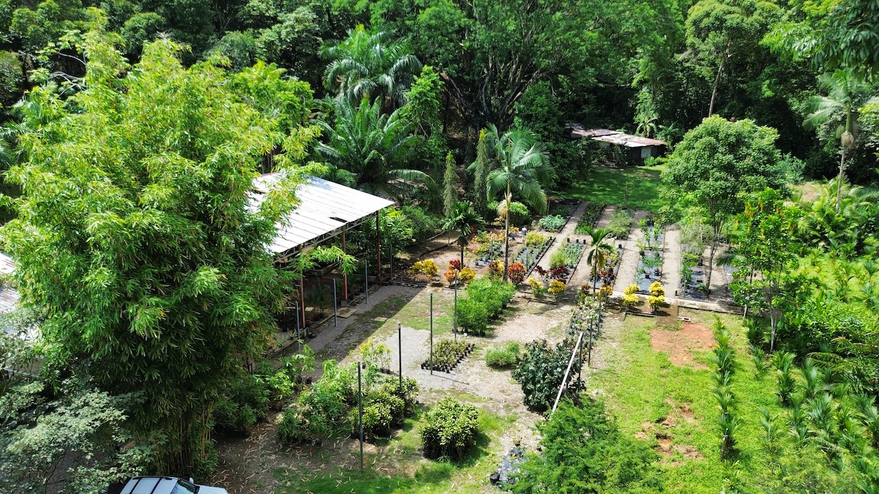 0 bed Commercial For Sale in Ojochal, Puntarenas - thumb 19