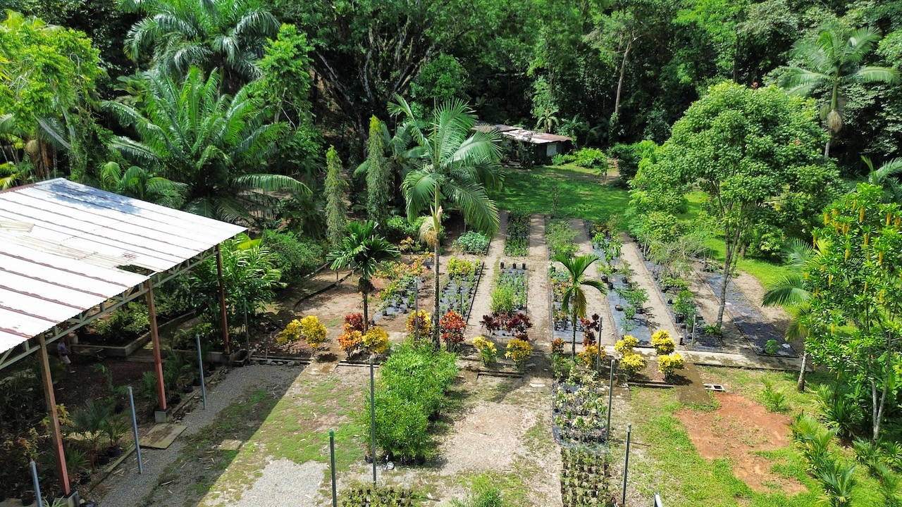 0 bed Commercial For Sale in Ojochal, Puntarenas - thumb 18