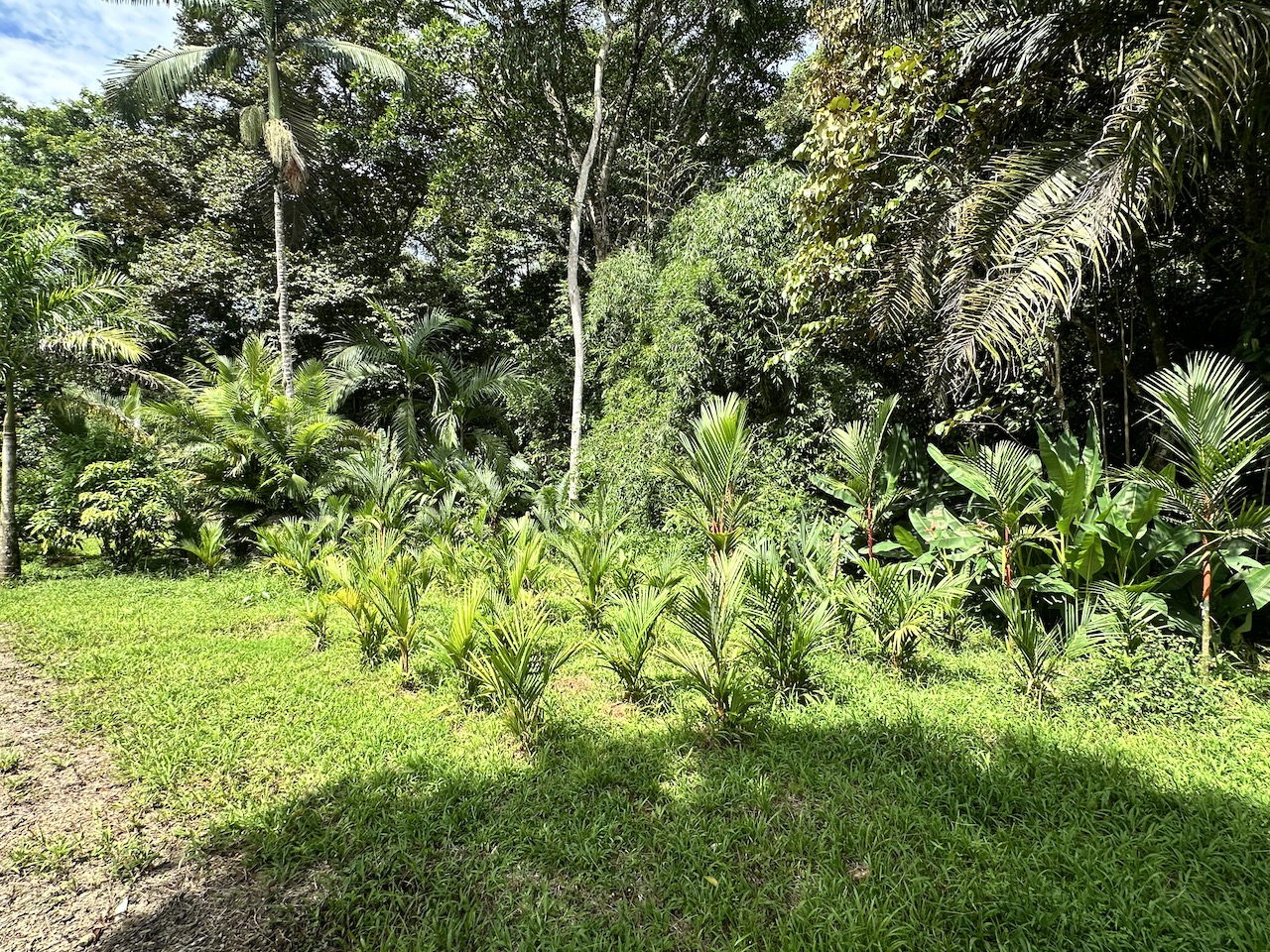 0 bed Commercial For Sale in Ojochal, Puntarenas - thumb 25