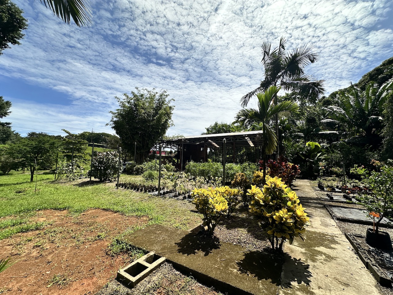 0 bed Commercial For Sale in Ojochal, Puntarenas - thumb 20