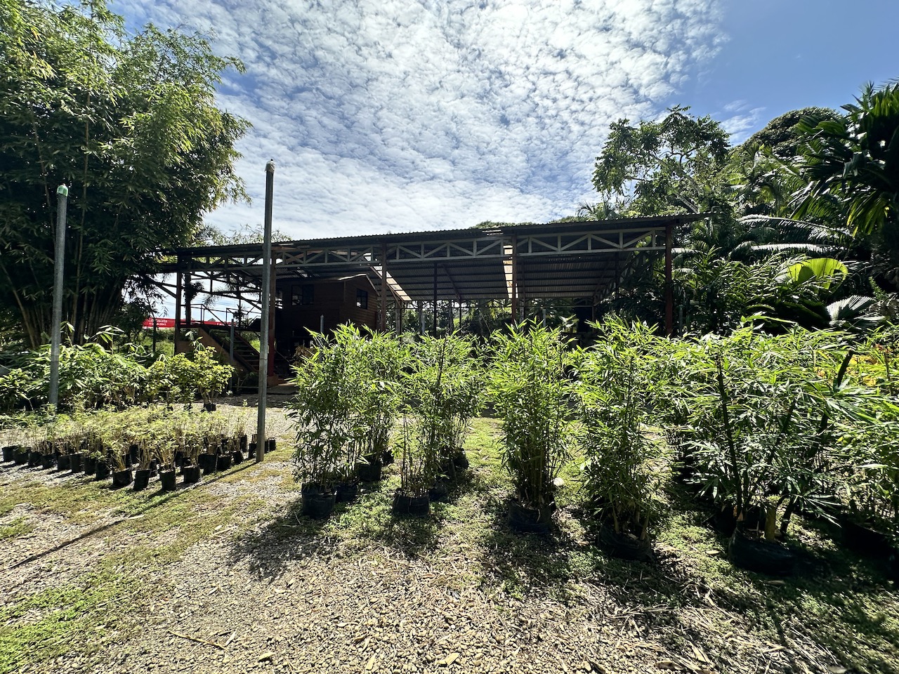 0 bed Commercial For Sale in Ojochal, Puntarenas - thumb 21