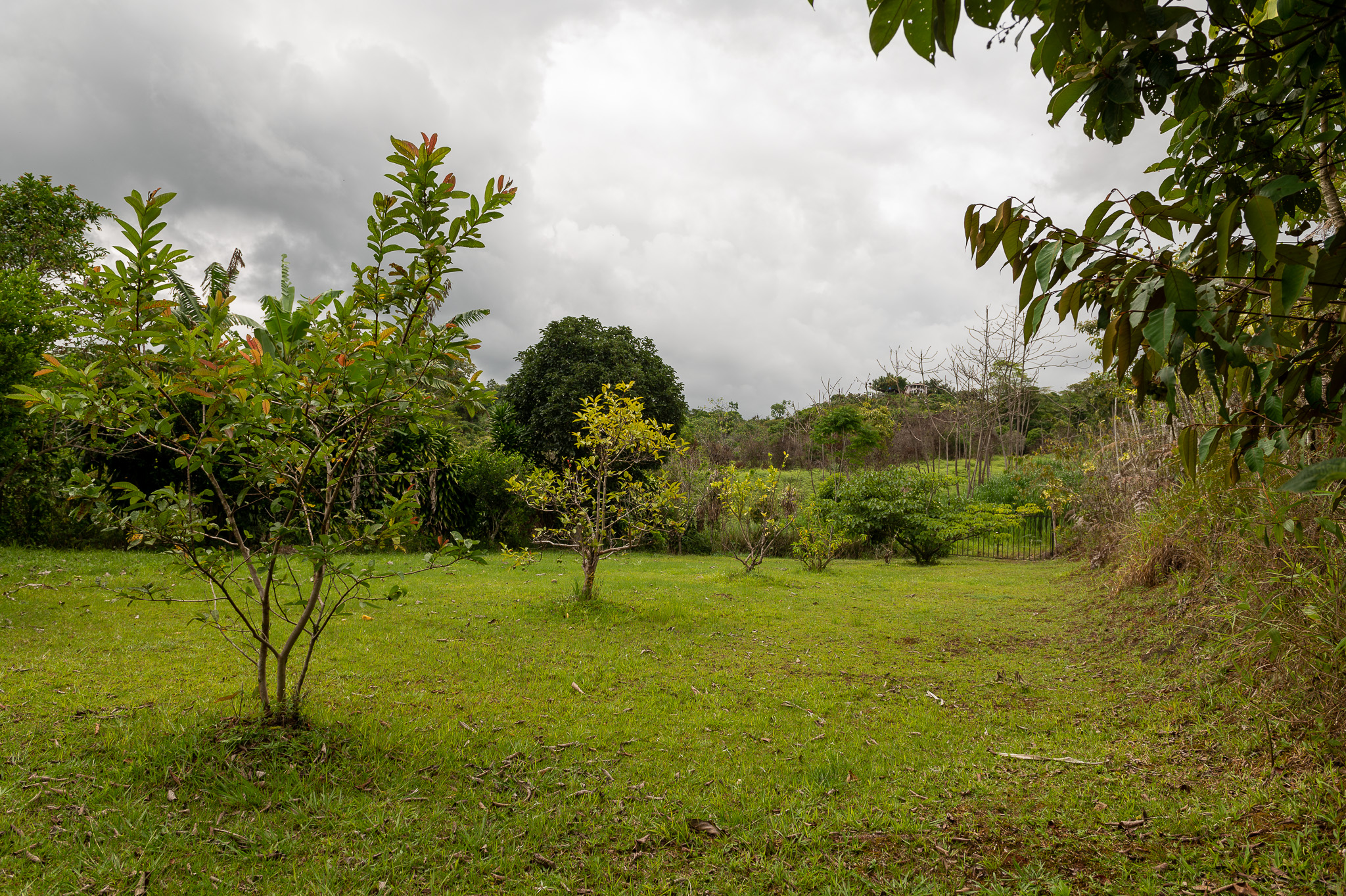 4 bed Single Family Homes For Sale in Perez Zeledon, San Jose - thumb 11