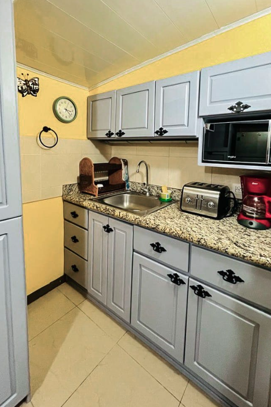1 bed Condo For Sale in Playas Del Coco, Guanacaste - thumb 5
