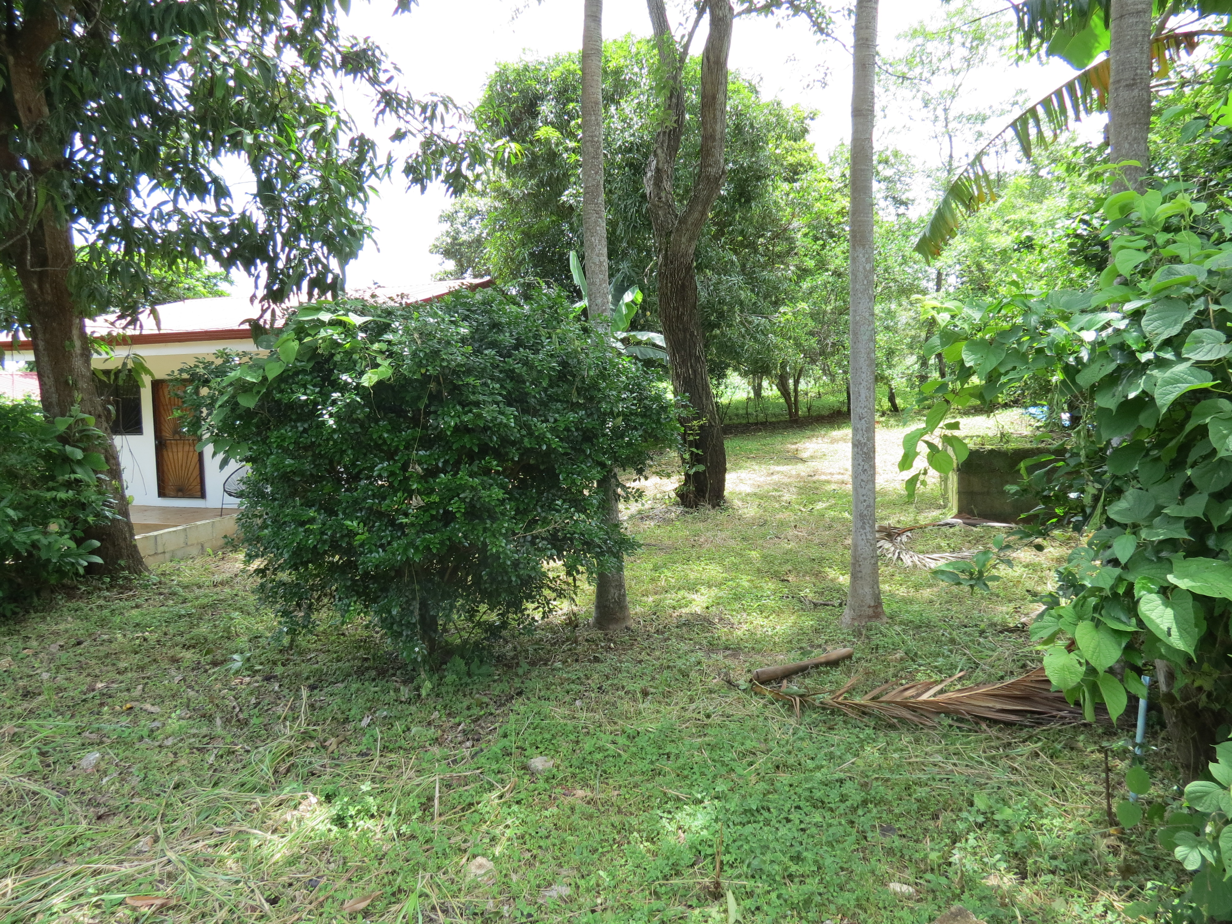 0 bed Land For Sale in Playa Negra, Guanacaste - thumb 4