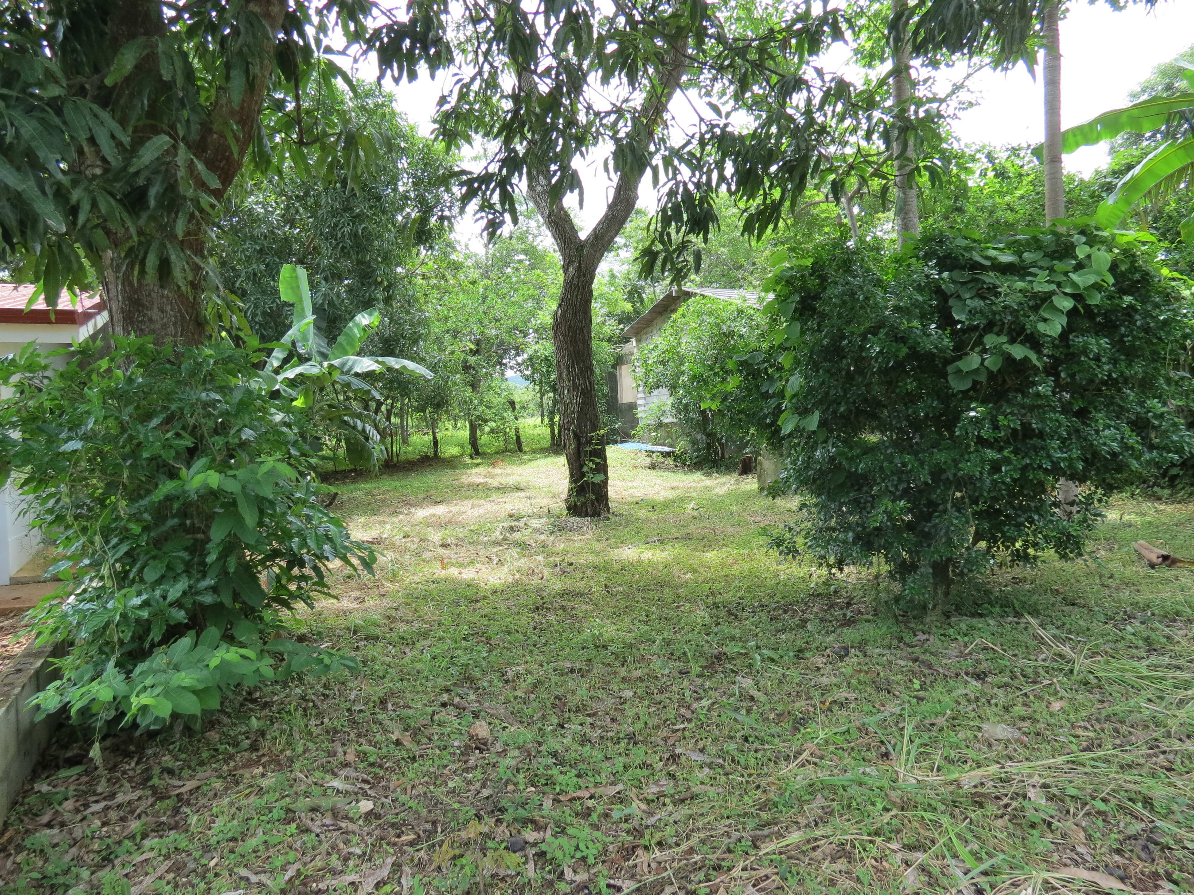 0 bed Land For Sale in Playa Negra, Guanacaste - thumb 11