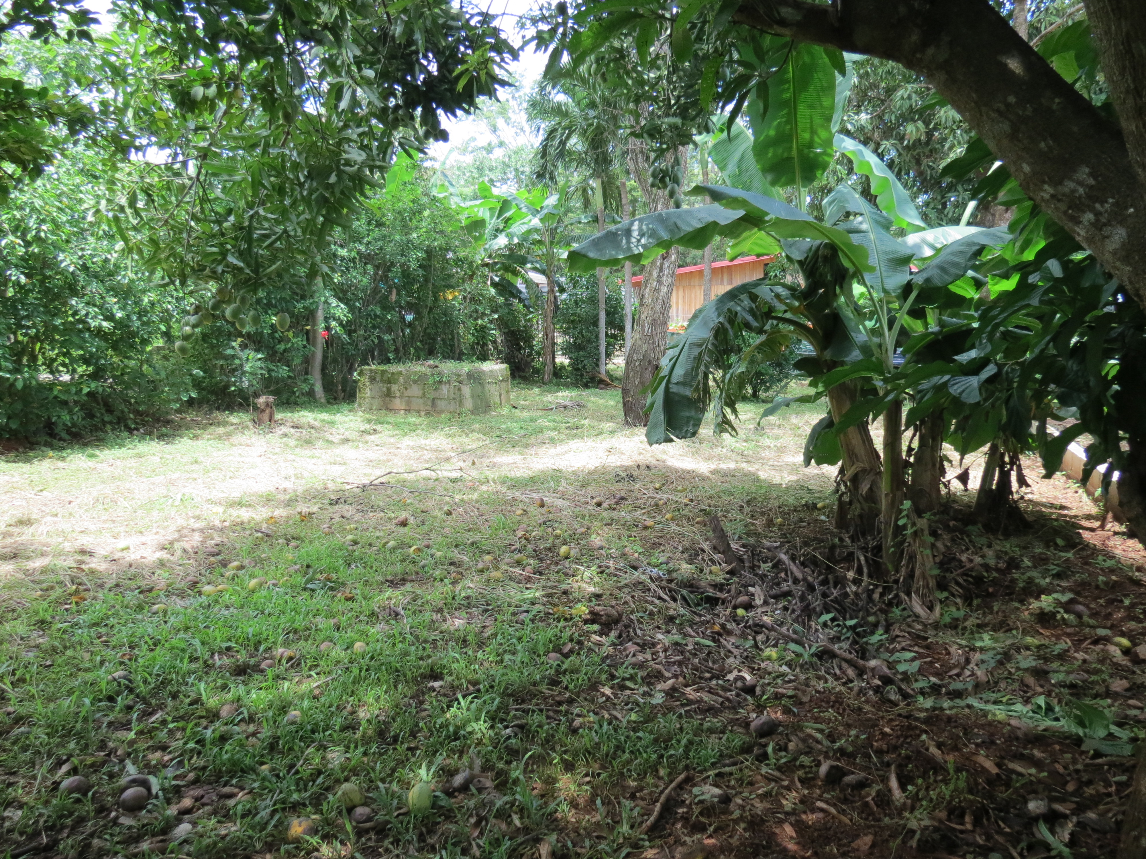 0 bed Land For Sale in Playa Negra, Guanacaste - thumb 6