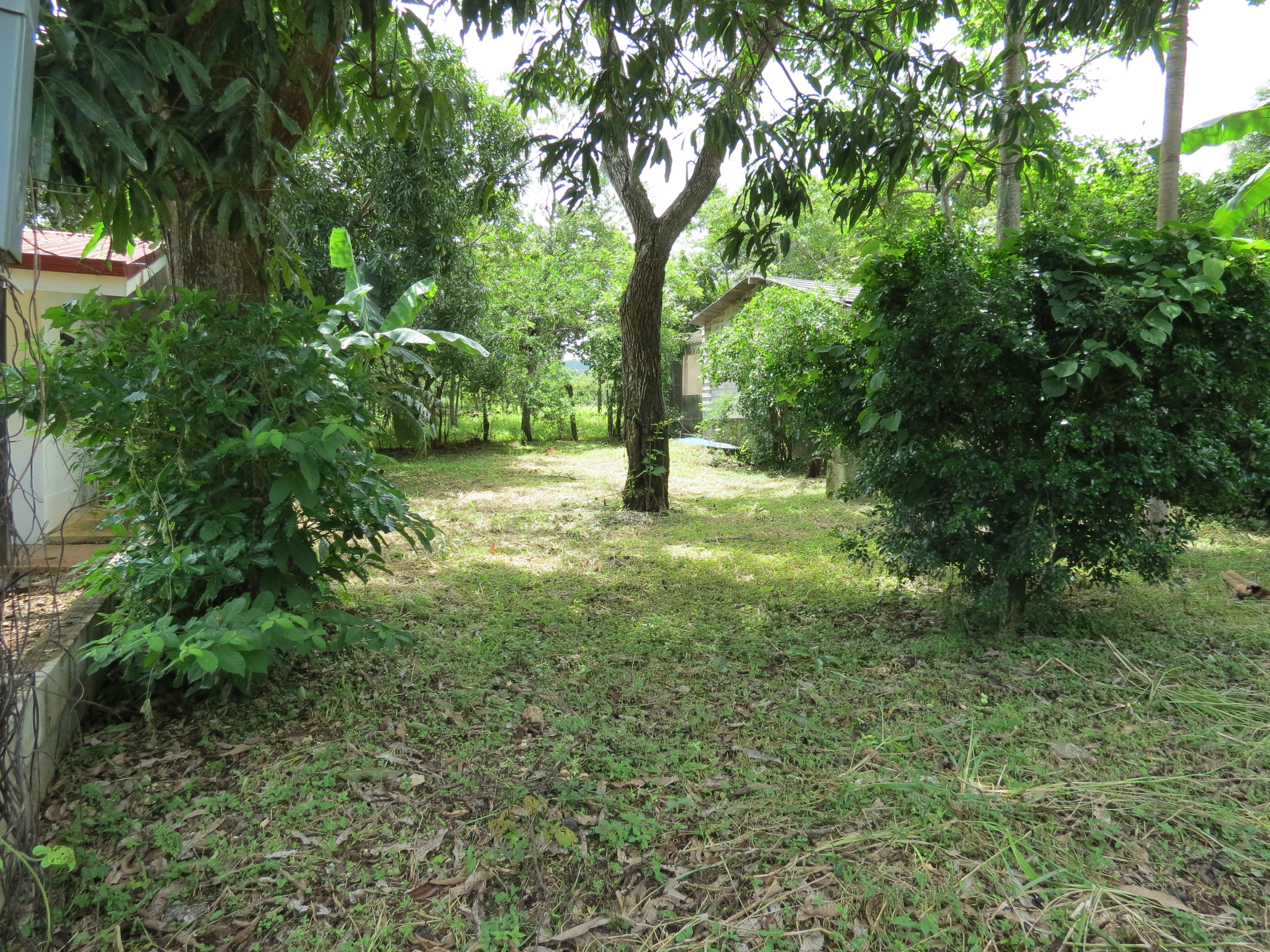0 bed Land For Sale in Playa Negra, Guanacaste - thumb 1