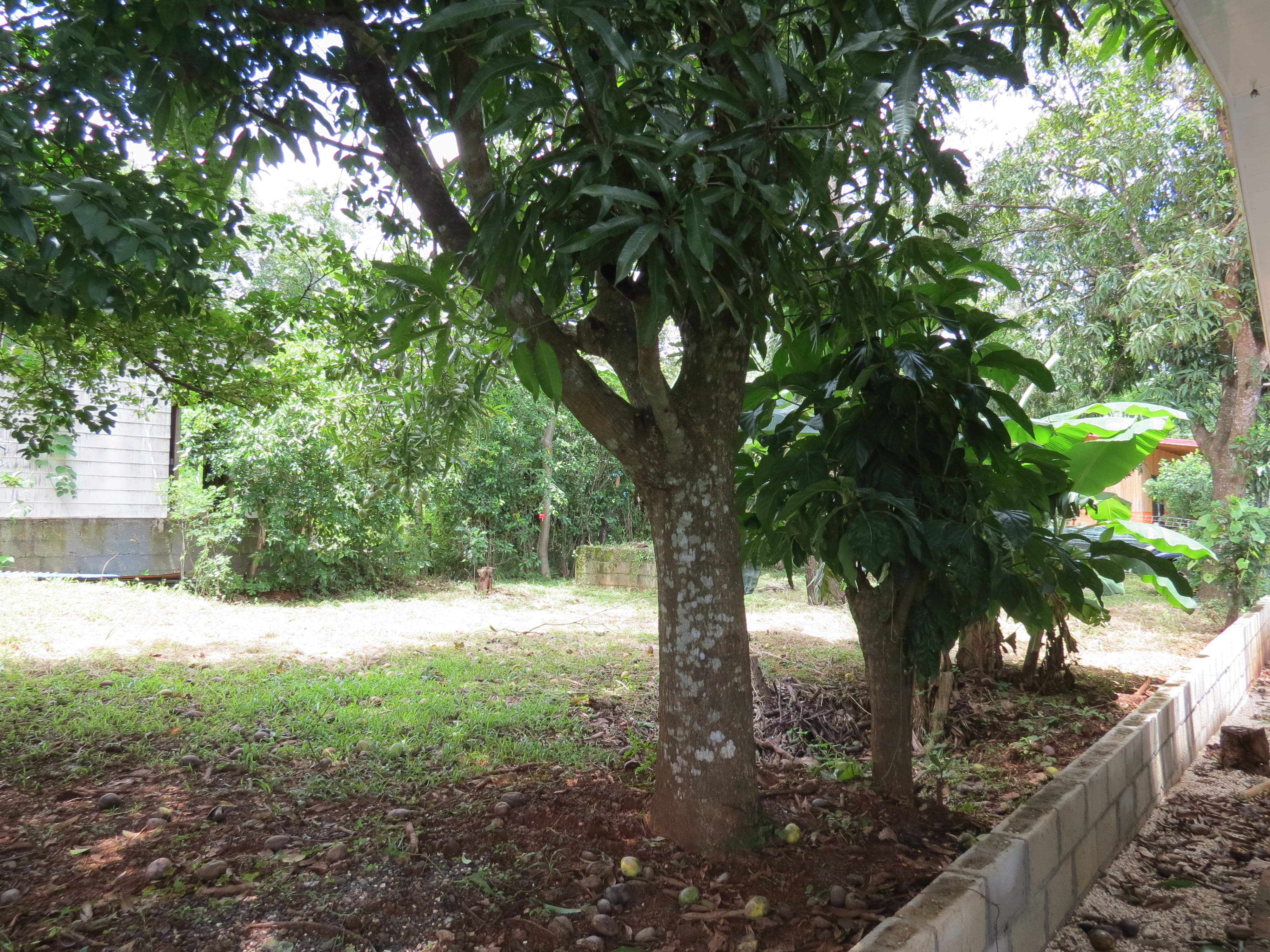 0 bed Land For Sale in Playa Negra, Guanacaste - thumb 7