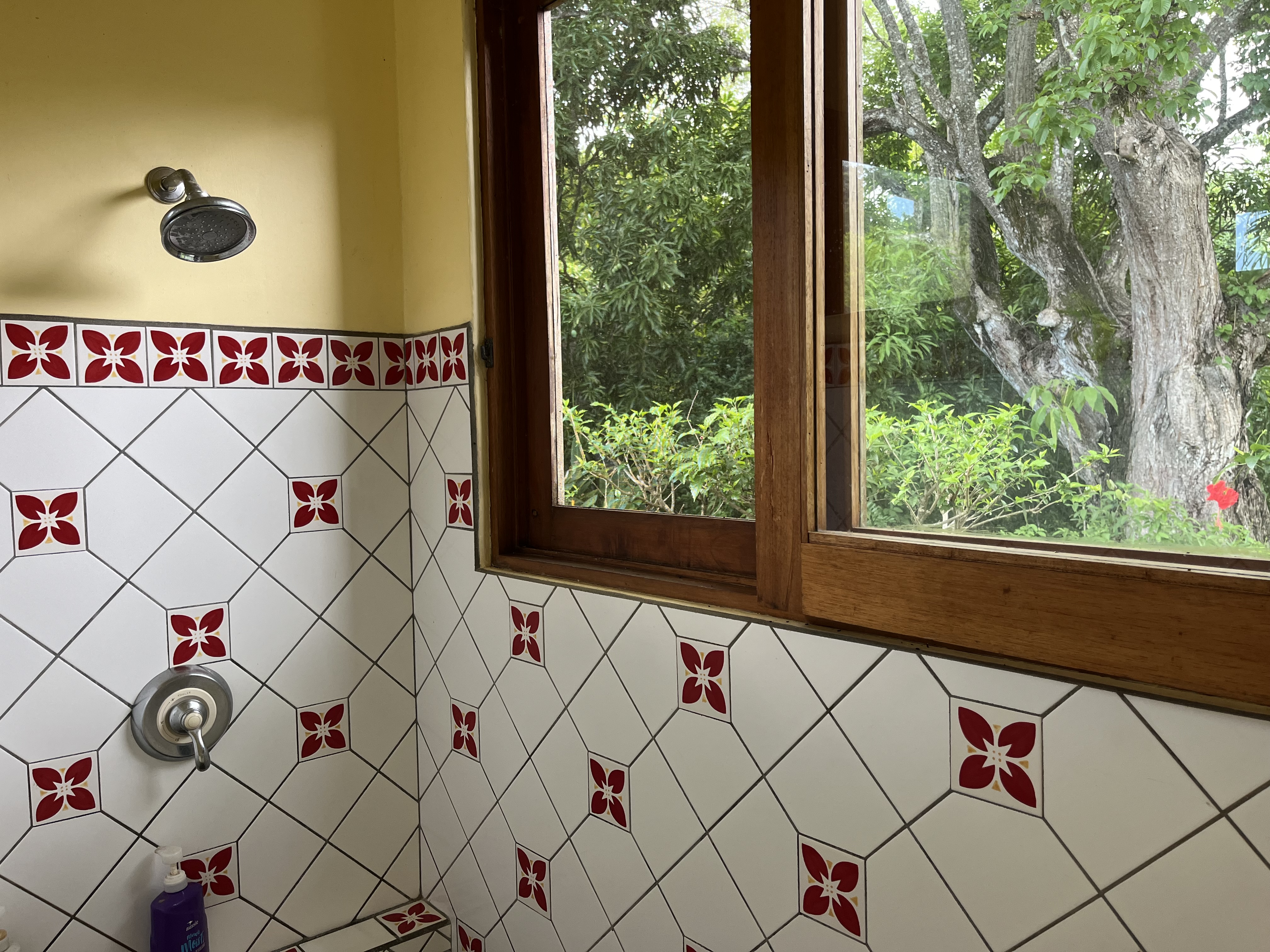 5 bed Single Family Homes For Sale in PlayaCoyote, Guanacaste - thumb 14