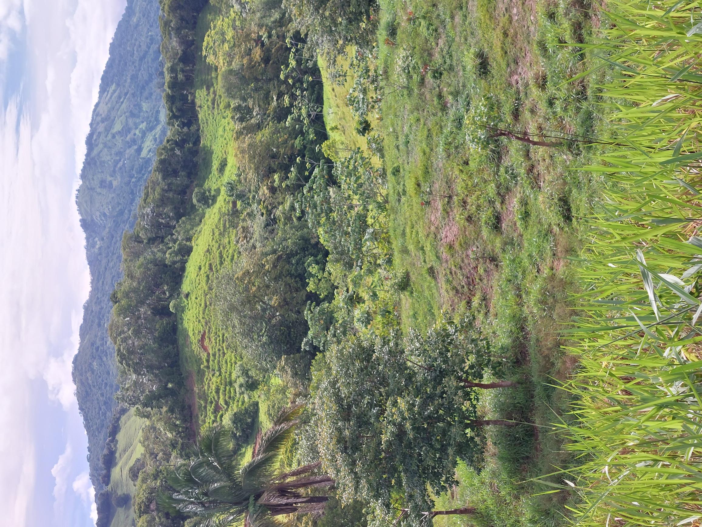 0 bed Land For Sale in Perez Zeledon, San Jose - thumb 5