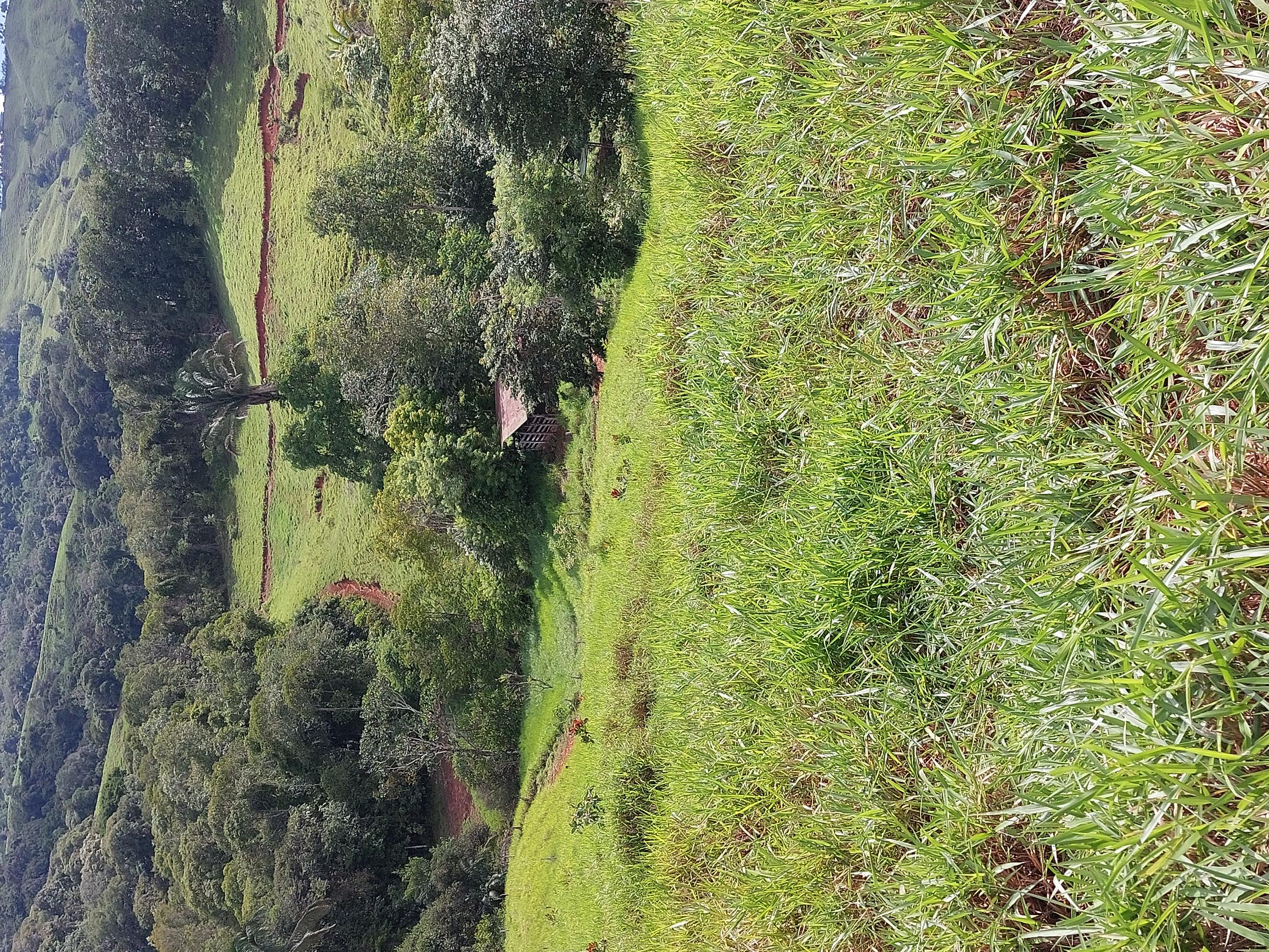 0 bed Land For Sale in Perez Zeledon, San Jose - thumb 6