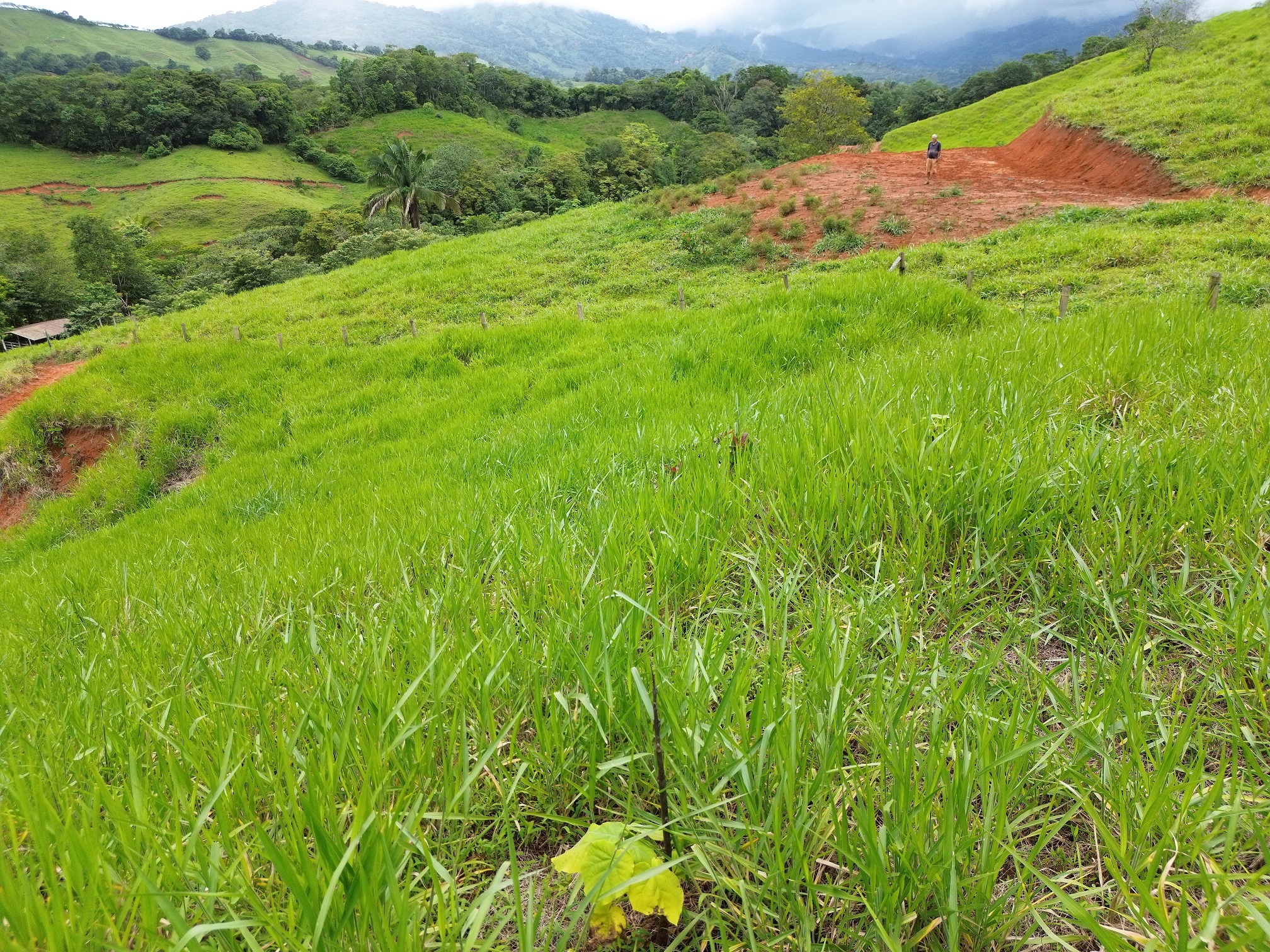 0 bed Land For Sale in Perez Zeledon, San Jose - thumb 9