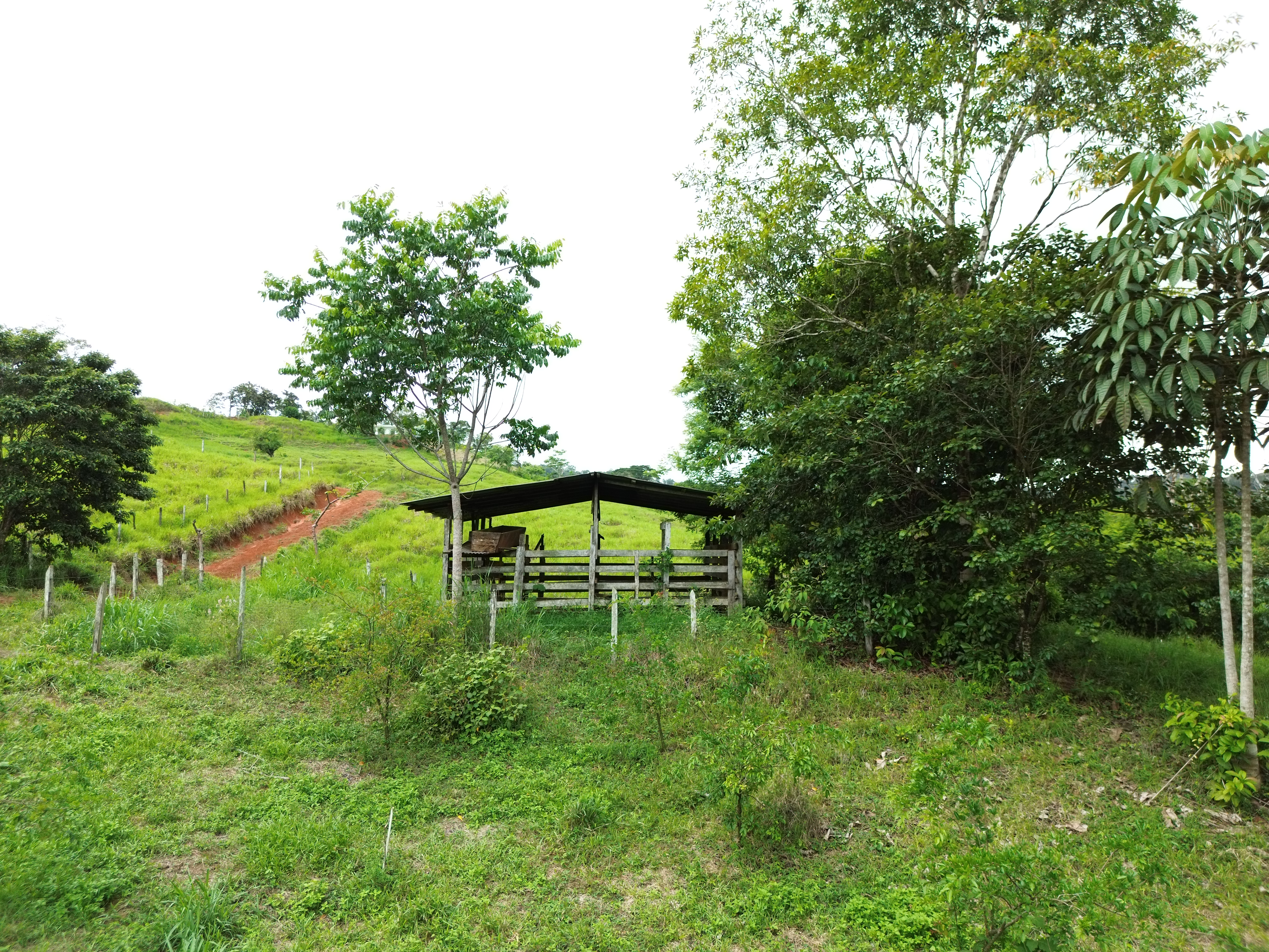 0 bed Land For Sale in Perez Zeledon, San Jose - thumb 3