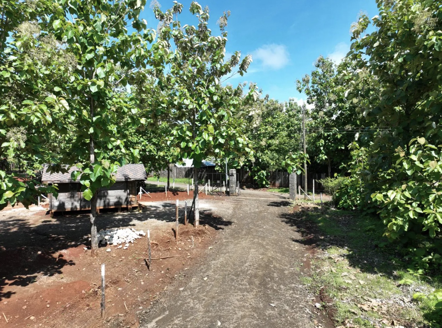 0 bed Land For Sale in Avellanas, Guanacaste - thumb 4