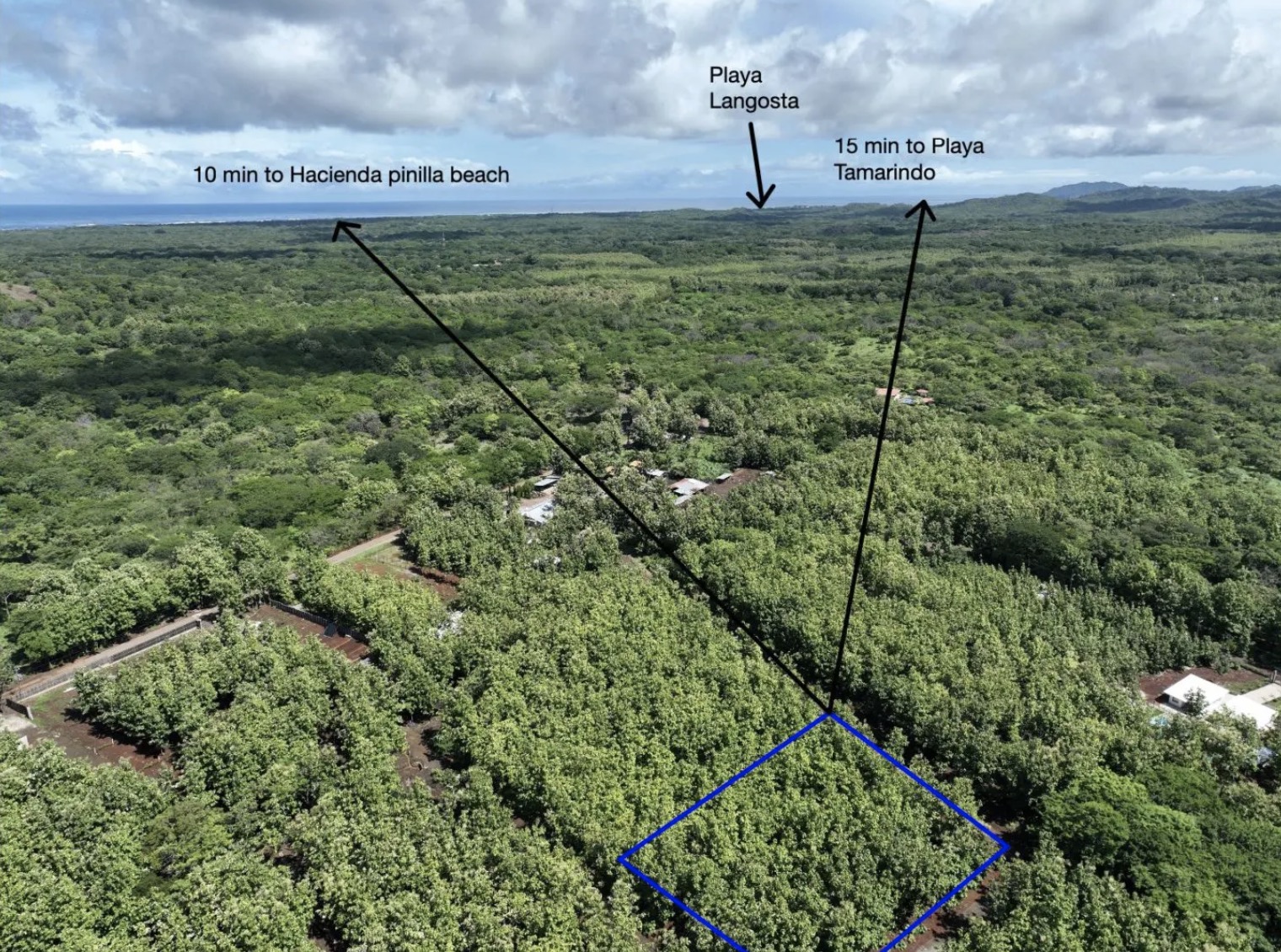 0 bed Land For Sale in Avellanas, Guanacaste - thumb 1