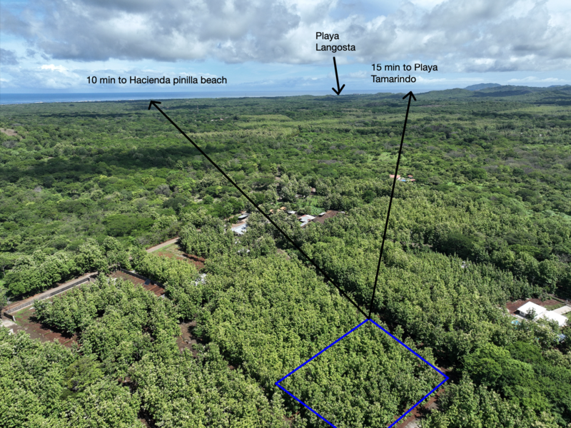 Land For Sale in Avellanas — photo 3