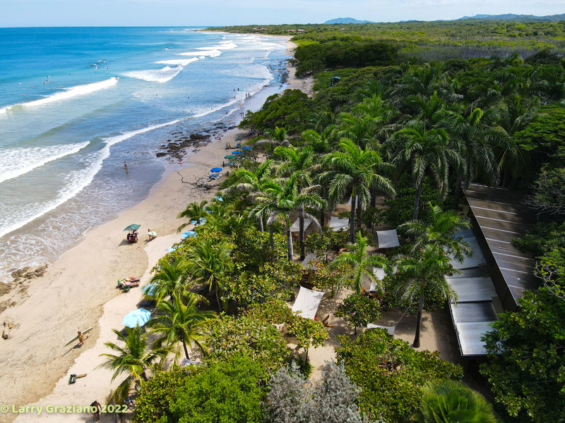 Land For Sale in Avellanas — photo 2