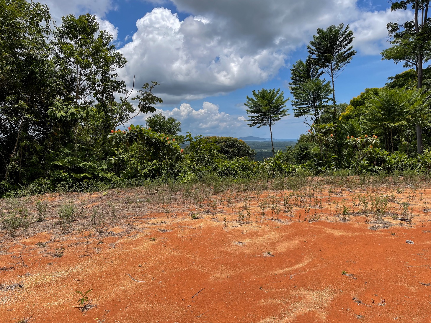 0 bed Land For Sale in Ojochal, Puntarenas - thumb 13