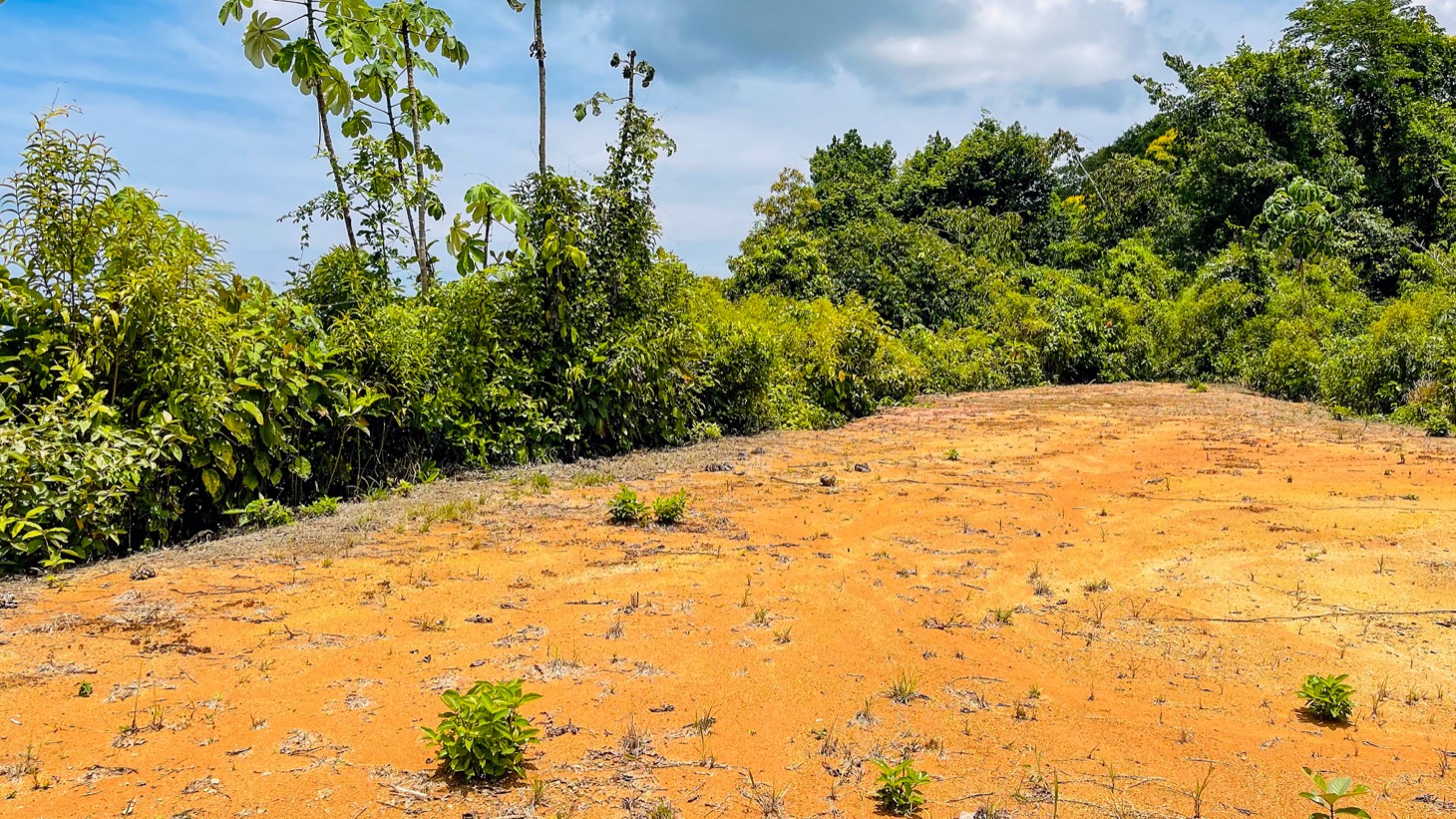 0 bed Land For Sale in Ojochal, Puntarenas - thumb 10