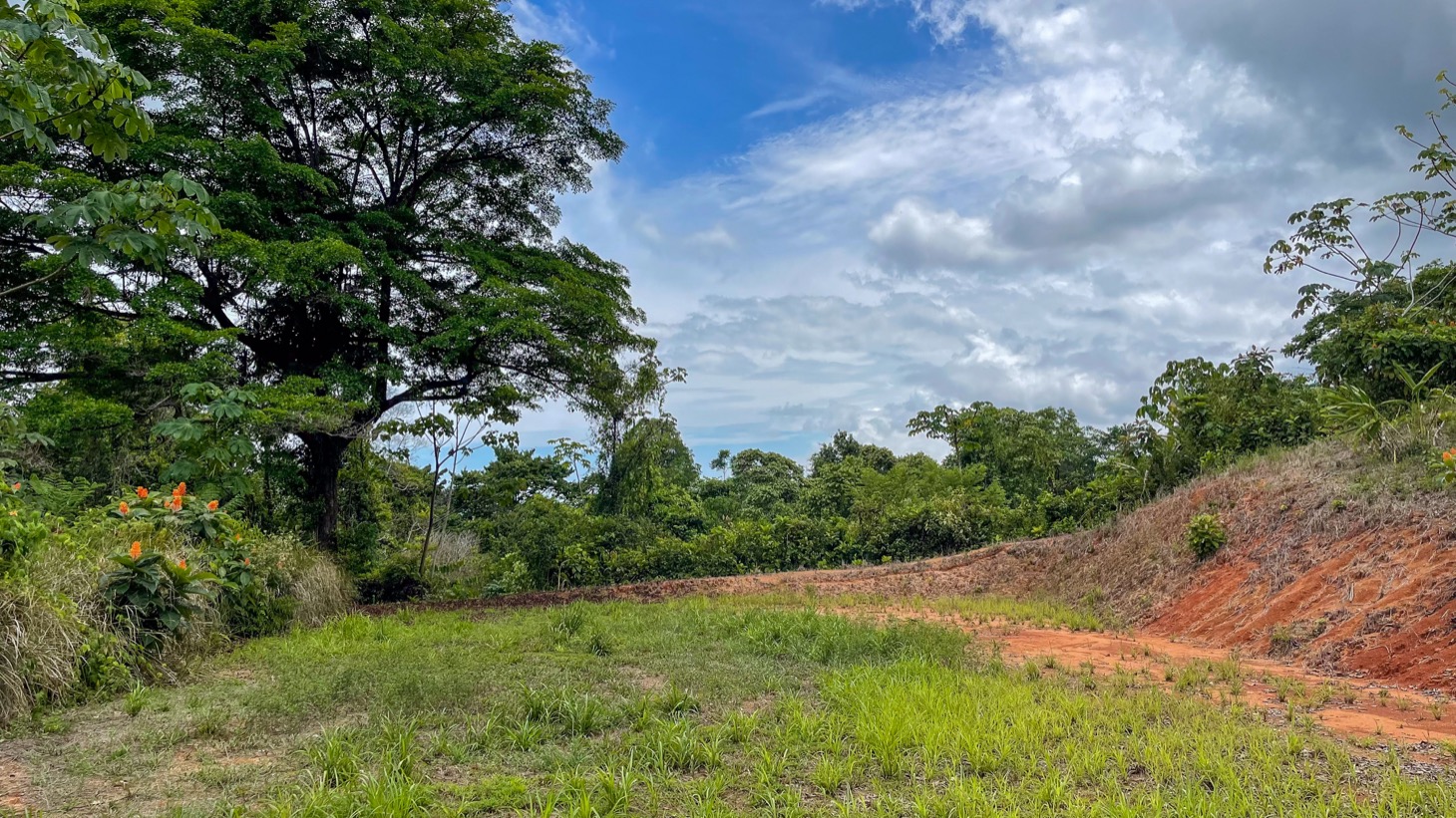0 bed Land For Sale in Ojochal, Puntarenas - thumb 17