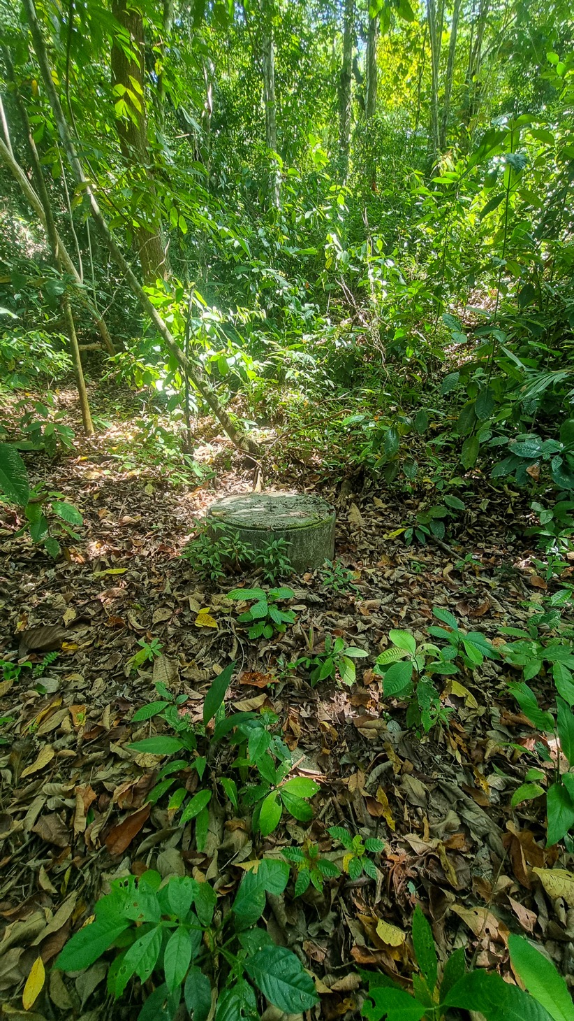 0 bed Land For Sale in Ojochal, Puntarenas - thumb 14