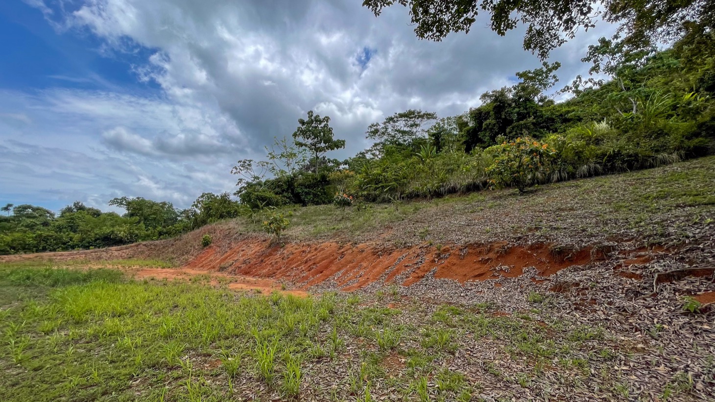 0 bed Land For Sale in Ojochal, Puntarenas - thumb 18